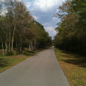 Cross Seminole Orlando Biking Trails