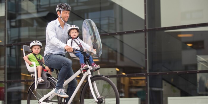 Hamax Bike Accessories | Windscreen for Observer Bike