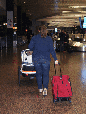 traveling with a stroller baggage claim