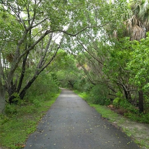 Bike Trails Near Miami Bill Baggs State Park