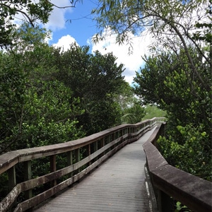 Bike Trails Near Miami Everglades National Park