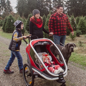 Single or double stroller with family