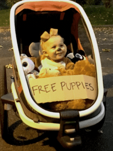 best stroller costume free puppies